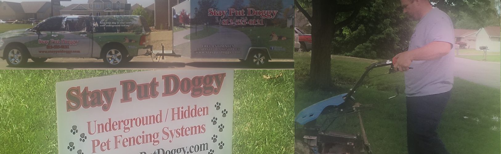 parallax5 collage of stay put doggy pictures